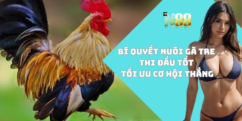Bí quyết nuôi gà tre