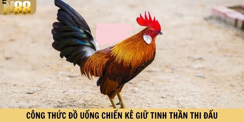 Công thức đồ uống chiến kê giữ tinh thần thi đấu