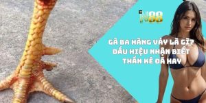 Gà ba hàng vảy
