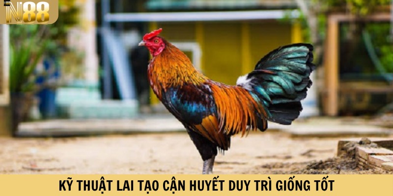 Kỹ thuật lai tạo cận huyết duy trì giống tốt