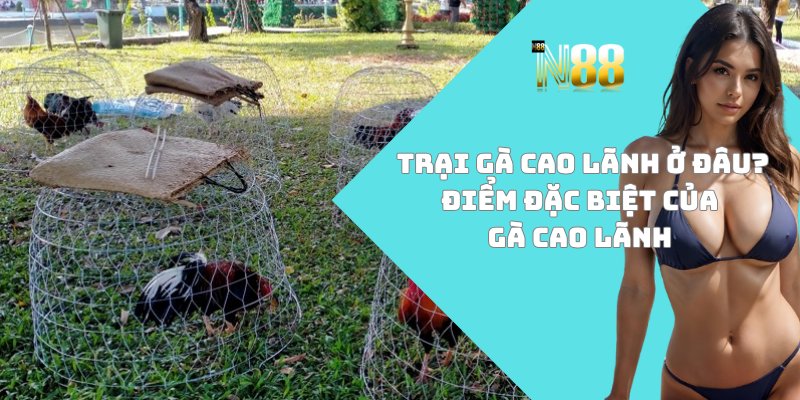 Trại gà Cao Lãnh