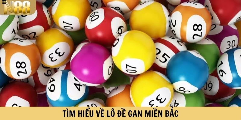 Tìm hiểu về lô đề gan miền Bắc