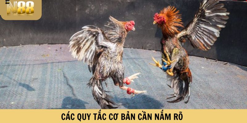 Các quy tắc cơ bản cần nắm rõ