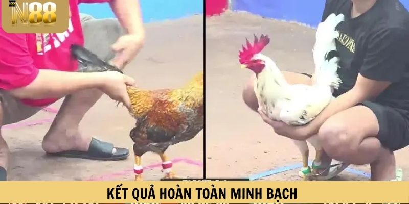 Kết quả hoàn toàn minh bạch